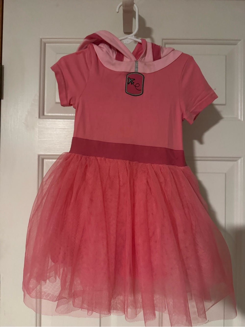 Taylor Joelle Skye Paw Patrol size 3